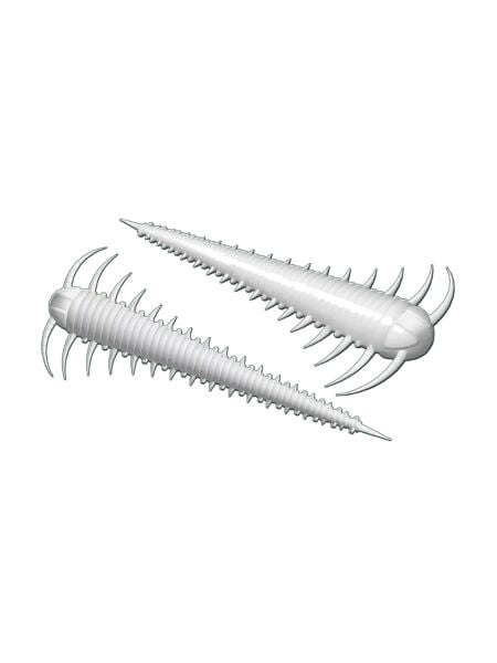 Libra Lures Slayzur Suni Yem 001