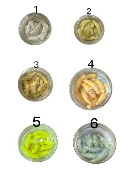 Seagrass Larva Peynirli Alabalık Yemi