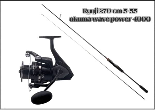 SPİN TAKIM OKUMA WAVE POWER 4000 RYUJİ LUNA 5-55GRAM
